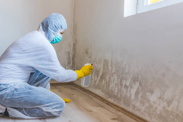 Crawl Space Mold Remediation treatment of floor joists in Township Of Washington